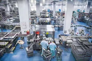 百名社長總編走進(jìn)無限極新會生產(chǎn)基地受羊城晚報等全國主流媒體關(guān)注